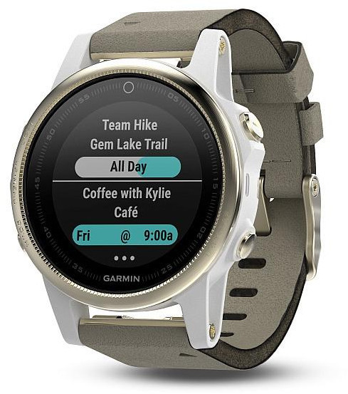Garmin Fenix 5S Sapphire Goldtone Optic Suede band