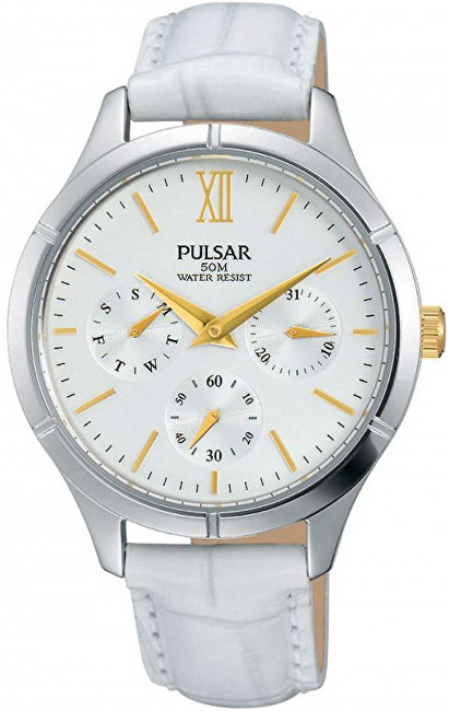 Pulsar Regular PP6227X1