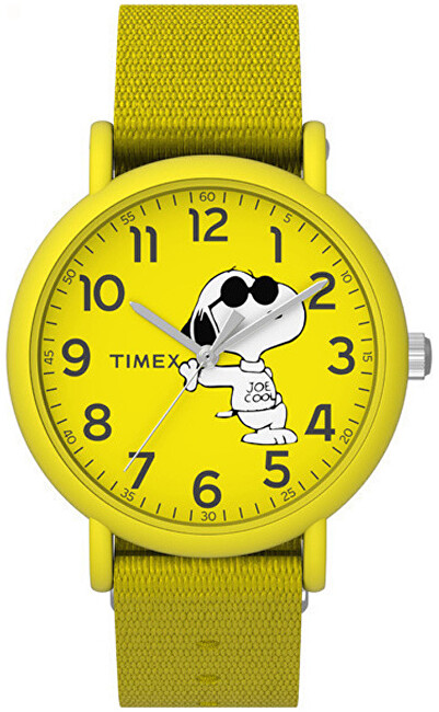 Timex Peanuts Snoopy TW2T65900