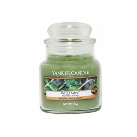 Yankee Candle Aromatická svíčka Classic malý Wild Mint 104 g