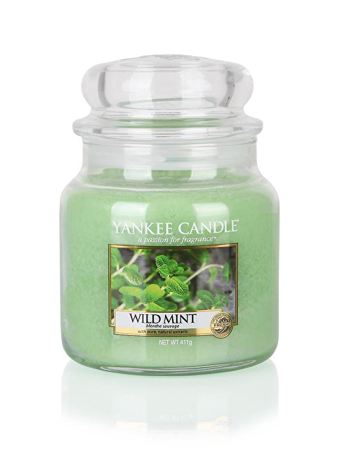 Yankee Candle Vonná svíčka Classic střední Wild Mint 411 g