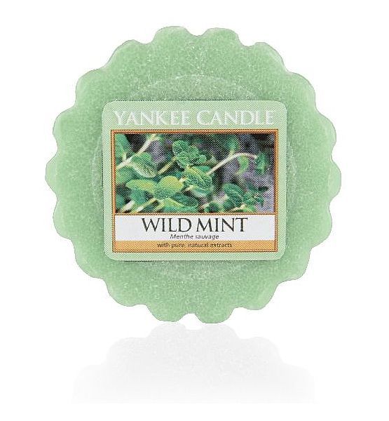 Yankee Candle Vonný vosk Wild Mint 22 g