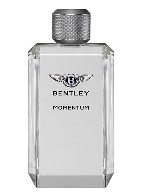 Bentley Momentum - EDT TESTER 100 ml