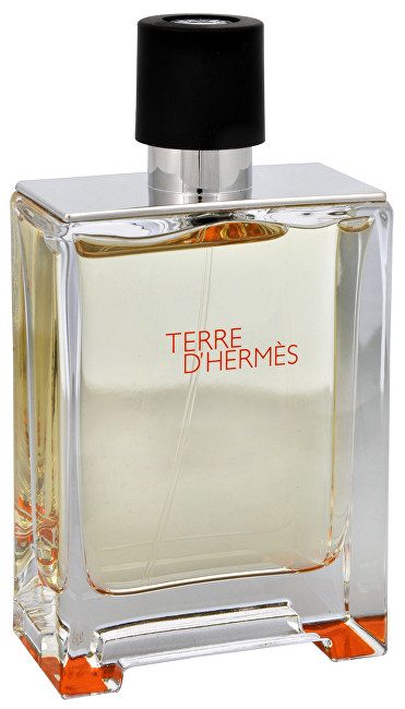 Hermes Terre D´ Hermes - EDT TESTER 100 ml