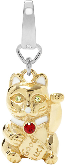 Fossil Přívěsek Kočka s nápisem Good Luck JF00657998