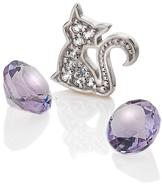 Hot Diamonds Element Kočka s ametysty Anais EX218