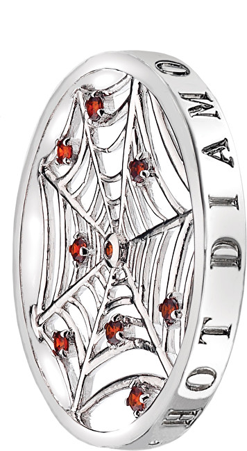 Hot Diamonds Přívěsek Emozioni Consistenza Web EC110-130 33 mm