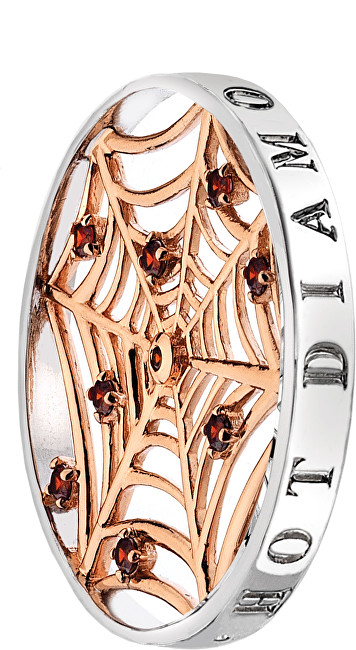 Hot Diamonds Přívěsek Emozioni Consistenza Web Rose EC111-131 25 mm