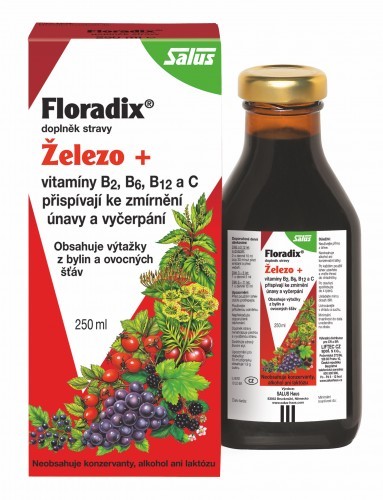 Zobrazit detail výrobku SALUS HAUS SALUS Floradix 250ml Zobrazit detail výrobku SALUS HAUS SALUS Floradix 250ml