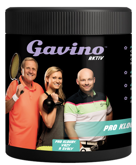 Gavino Gavino AKTIV PRO KLOUBY PLUS 700 g