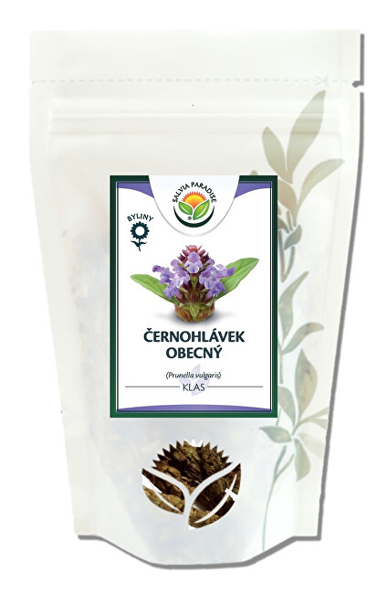 Salvia Paradise Černohlávek obecný klas 10 g