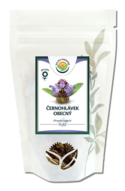 Salvia Paradise Černohlávek obecný klas 10 g