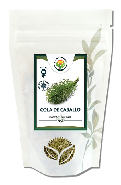 Salvia Paradise Cola de Caballo - Přeslička obří 30 g