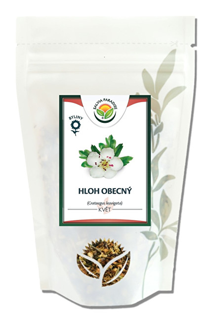 Salvia Paradise Hloh obecný květ 30 g