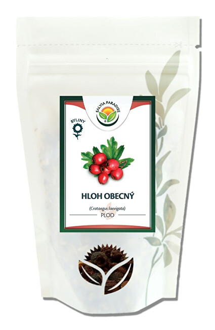Salvia Paradise Hloh obecný plod 100 g