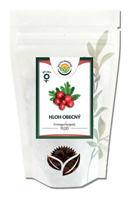 Salvia Paradise Hloh obecný plod 100 g