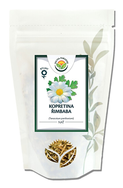 Salvia Paradise Kopretina řimbaba nať 50 g