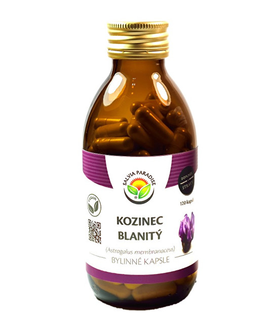 Zobrazit detail výrobku Salvia Paradise Kozinec blanitý kapsle 60 ks Zobrazit detail výrobku Salvia Paradise Kozinec blanitý kapsle 60 ks