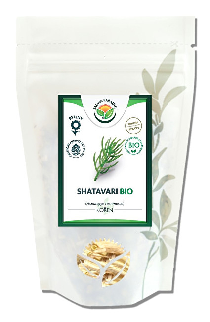 Zobrazit detail výrobku Salvia Paradise Šatavari - Chřest kořen celý BIO 70 g Zobrazit detail výrobku Salvia Paradise Šatavari - Chřest kořen celý BIO 70 g