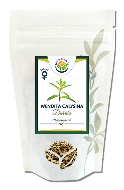 Salvia Paradise Wendita calysina nať 80 g
