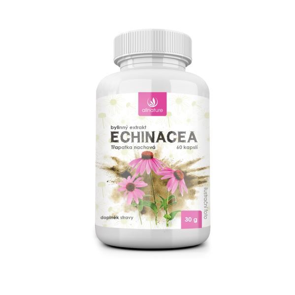 Zobrazit detail výrobku Allnature Echinacea bylinný extrakt 60 pastilek Zobrazit detail výrobku Allnature Echinacea bylinný extrakt 60 pastilek