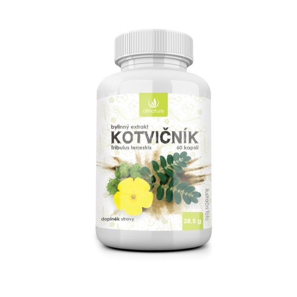 Zobrazit detail výrobku Allnature Kotvičník bylinný extrakt 60 pastilek Zobrazit detail výrobku Allnature Kotvičník bylinný extrakt 60 pastilek
