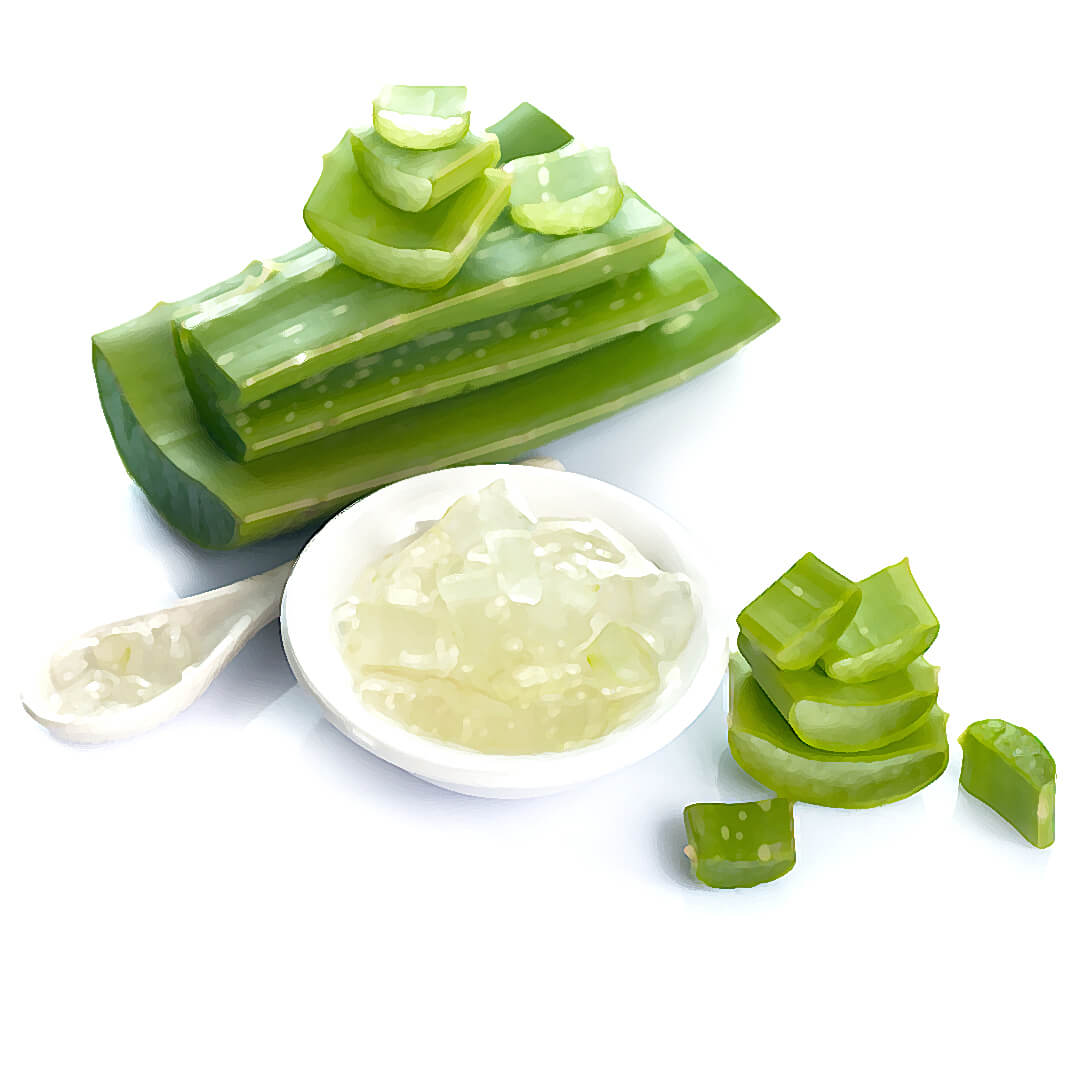 Obrázek Antibakteriální gel z aloe a levandule Obrázek Antibakteriální gel z aloe a levandule