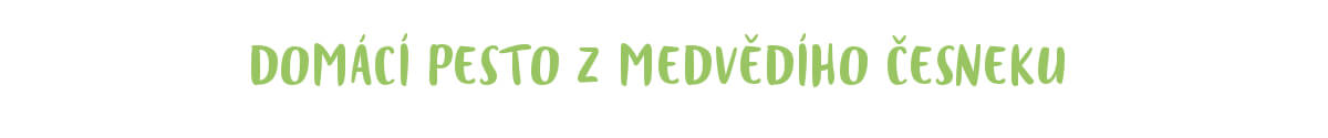 Domácí pesto z medvědího česneku recept Domácí pesto z medvědího česneku recept