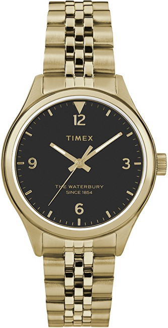 Hodinky Timex Waterbury Classic TW2R69300