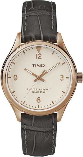 Hodinky Timex Waterbury Classic TW2R69600