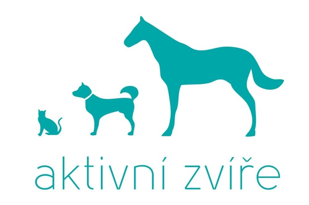 Aktivní zvíře
