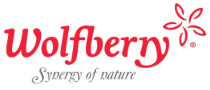 Wolfberry