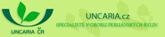 Uncaria