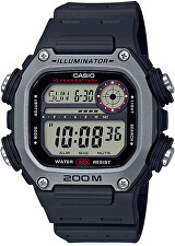 Casio DW-291H-1AVEF