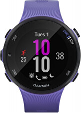 Garmin Forerunner 45S Optic Berry