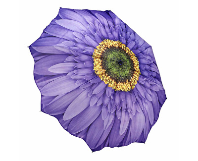 Dámský skládací plně automatický deštník Wisteria Daisy GFFWID Dámský skládací plně automatický deštník Wisteria Daisy GFFWID
