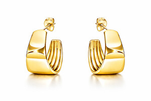 Elegantní pozlacené kruhové náušnice VAAJDE201527G