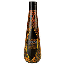 Revitalizační a vyživující šampon pro všechny typy vlasů (Oil Extract Shampoo)