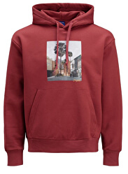 Hanorac pentru bărbați JORTRAIL SWEAT HOOD Brick Red