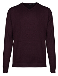 Pánsky sveter Alex 12 Detail V-Neck Knit Wine tasting