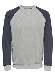 Hanorac pentru bărbați Raglan Structure Sweat Light Grey