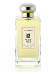 Nectarine Blossom & Honey - EDC (Fara cutie)