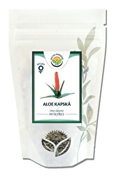 Aloe kapská - pryskyřice