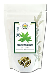 Aloisie trojlistá nať