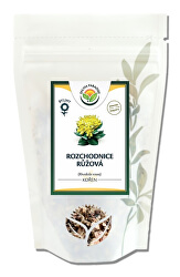 Rozchodnica - Rhodiola koreň
